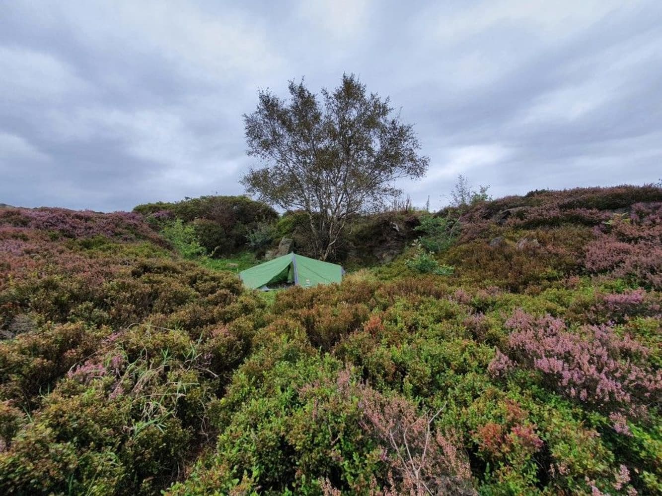 Zephyros Compact 2, view: 2