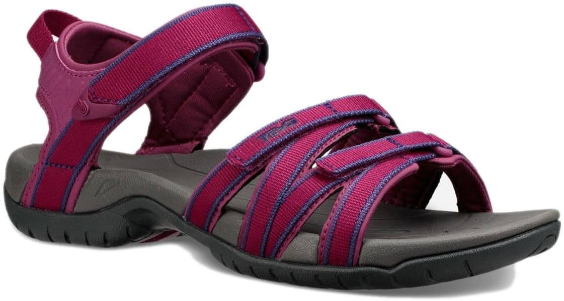 W's Tirra Boysenberry, view: 1