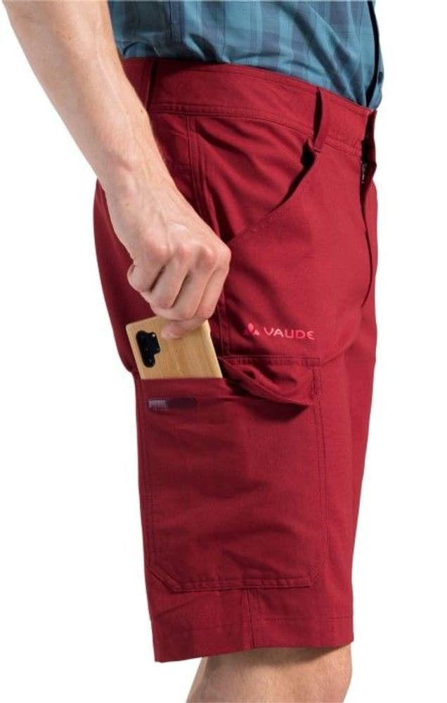 Men's Skarvan Bermuda II Caemine, view: 4