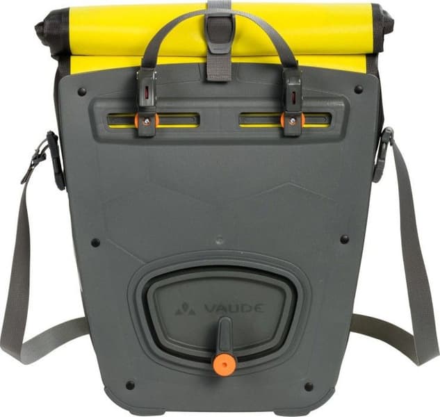 Aqua Back Canary, view: 2