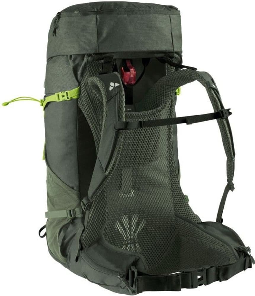 Brenta 44+6 Olive, view: 1