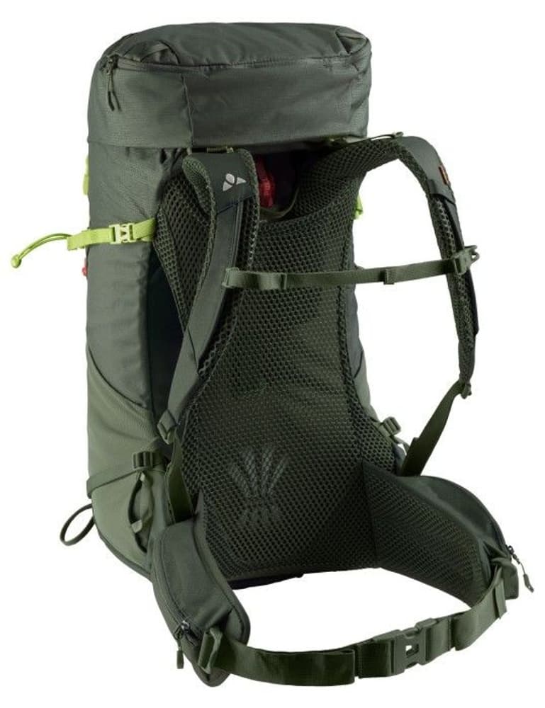 Brenta 36+6 Olive, view: 1