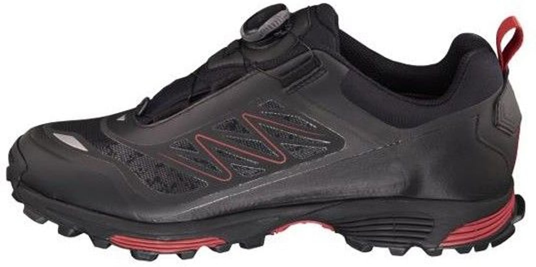 Anaconda BOA Light GTX Black/Silver, view: 1