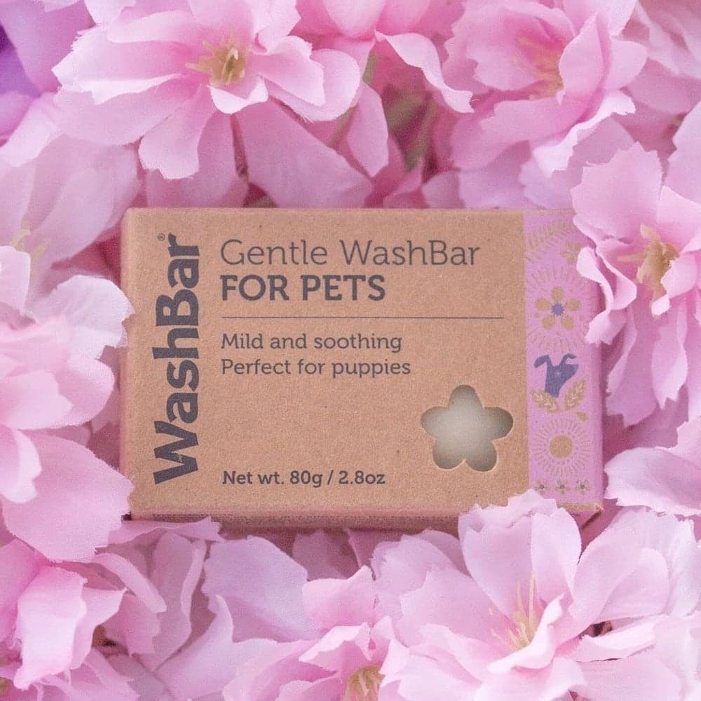 Soap Bar Gentle 80 g, view: 1