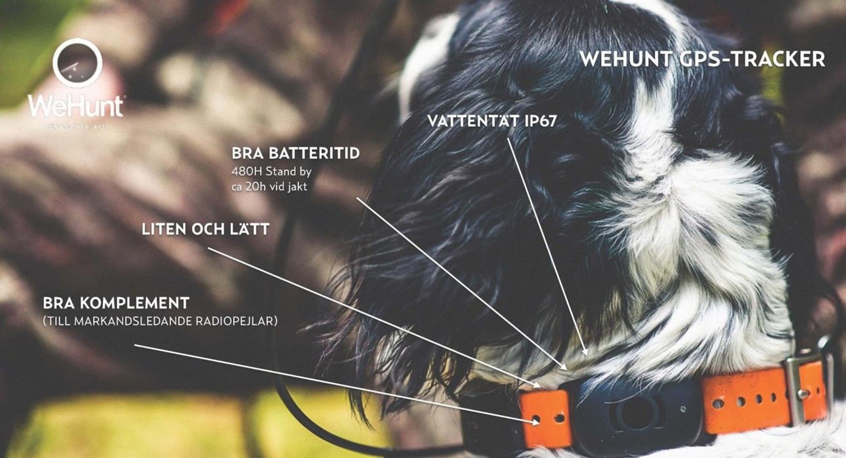 WeHunt GPS Hundepejler, view: 2