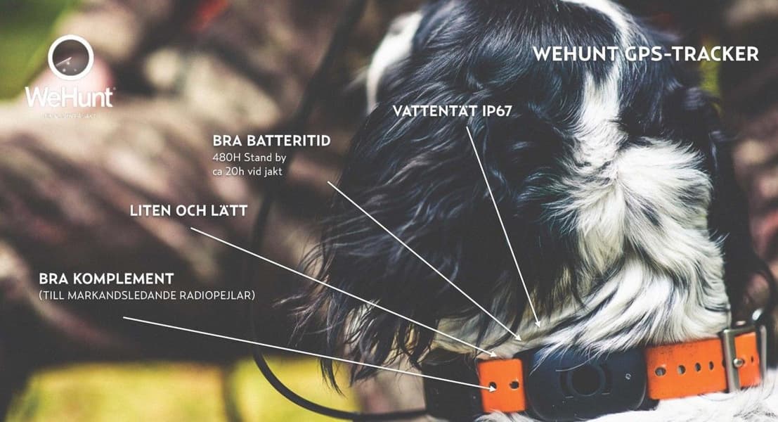 WeHunt GPS Hundepejler, view: 2