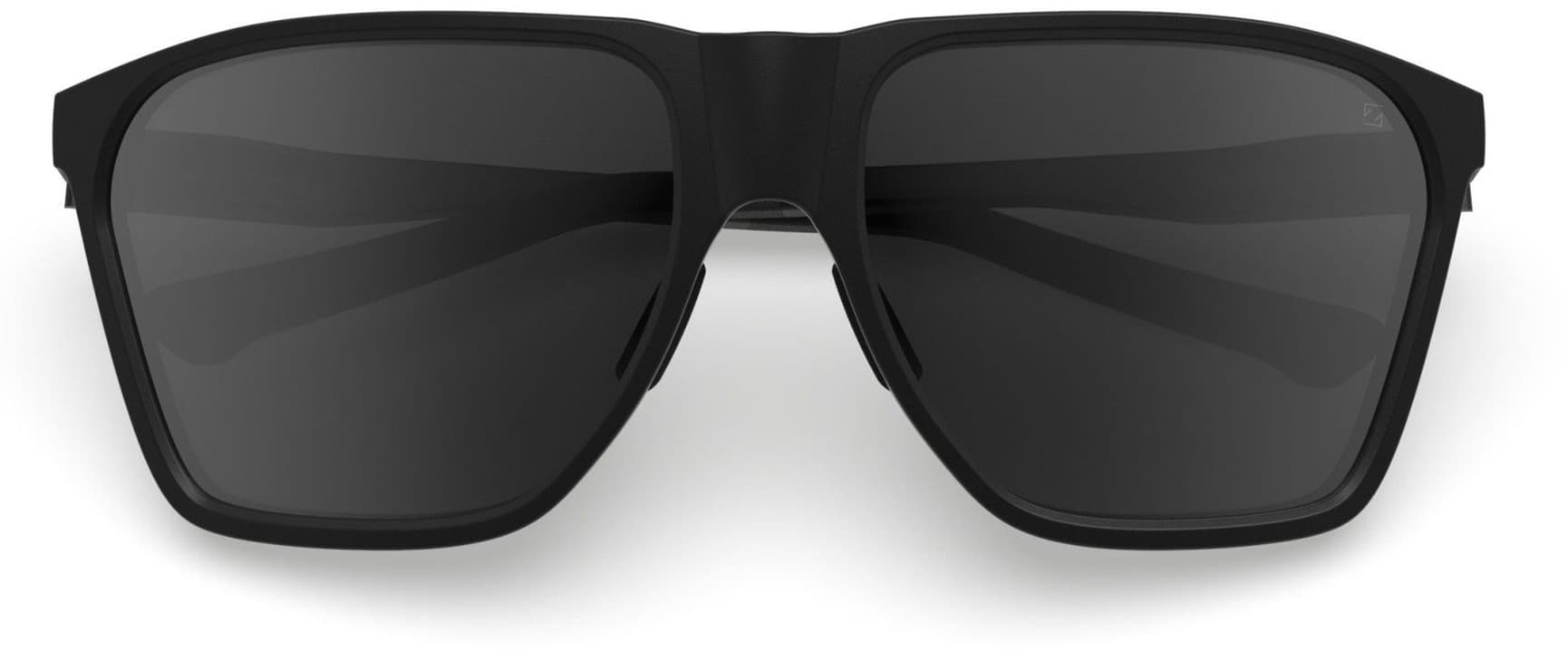 Anjan Sunglasses Black with Grey Lens, view: 4