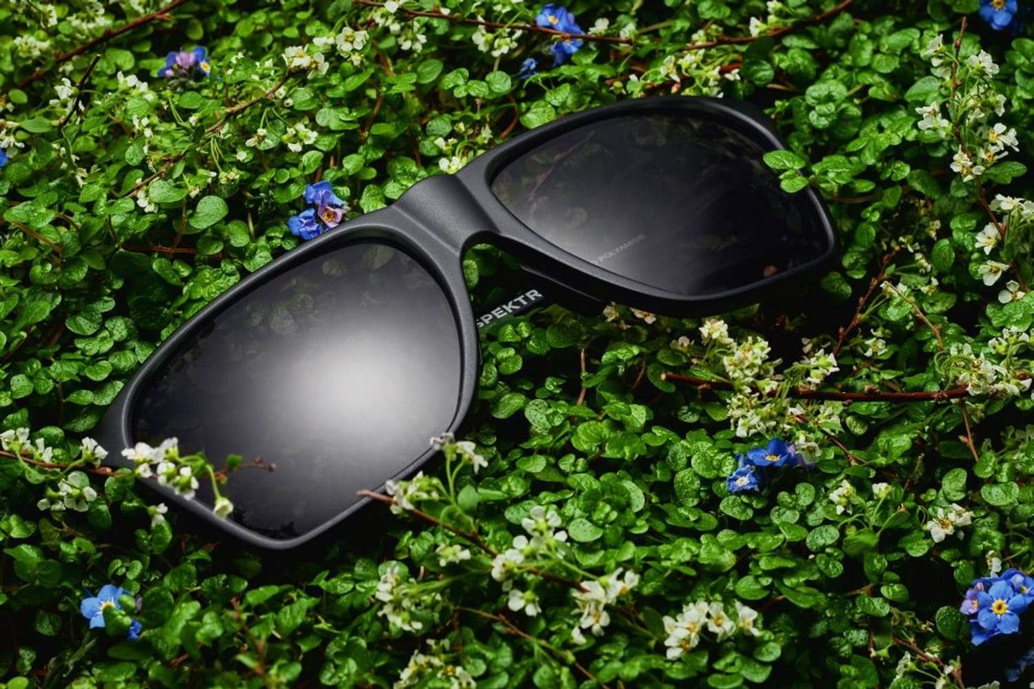 Anjan Sunglasses Moss Green with Gold Lens, view: 8