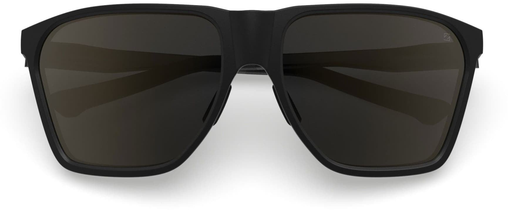 Anjan Black Sunglasses Polarized with Brown Lens, view: 4