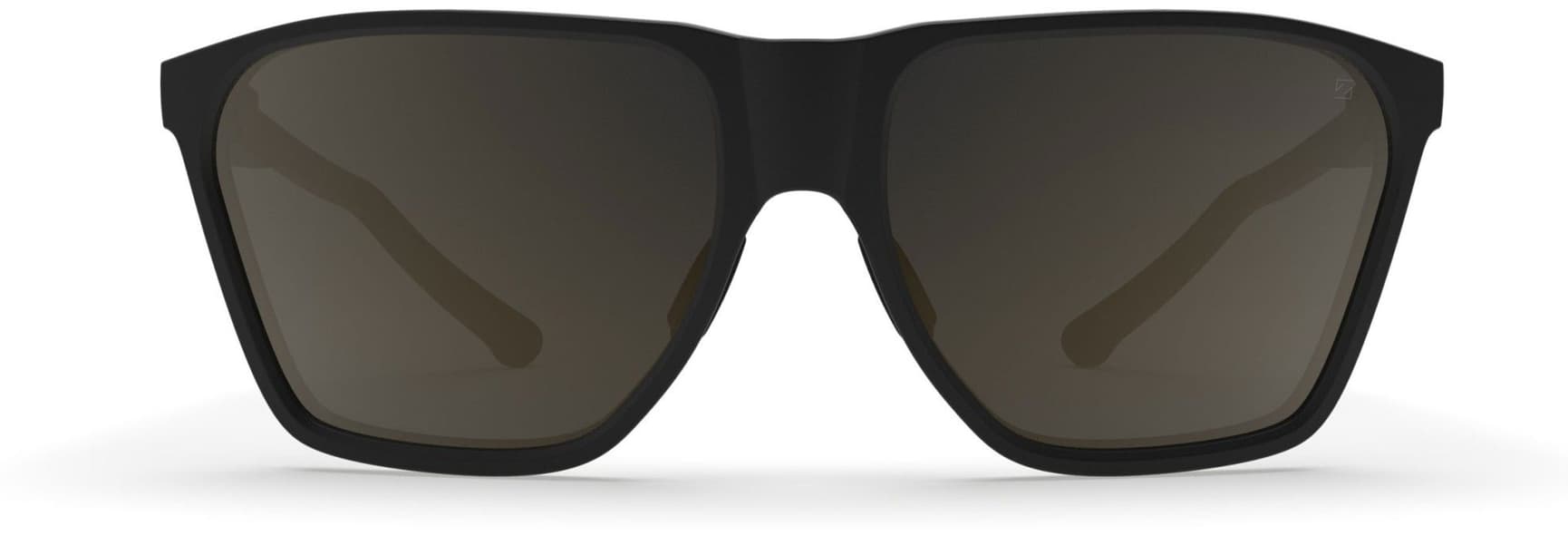Anjan Black Sunglasses Polarized with Brown Lens, view: 3