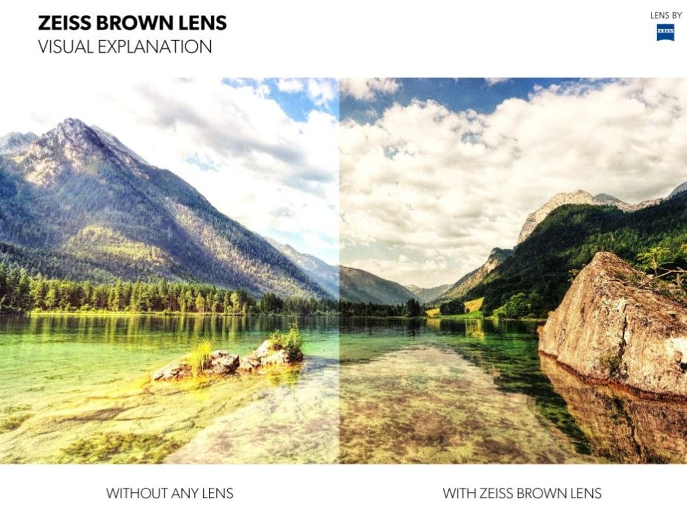 Anjan Black Sunglasses Polarized with Brown Lens, view: 8