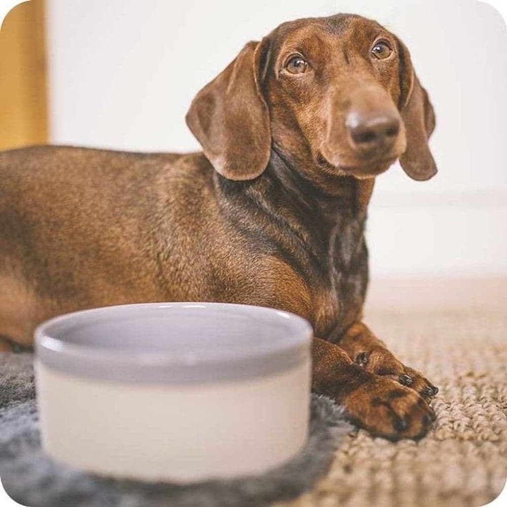 Käka Sandy & Feather Grey Liten, view: 1