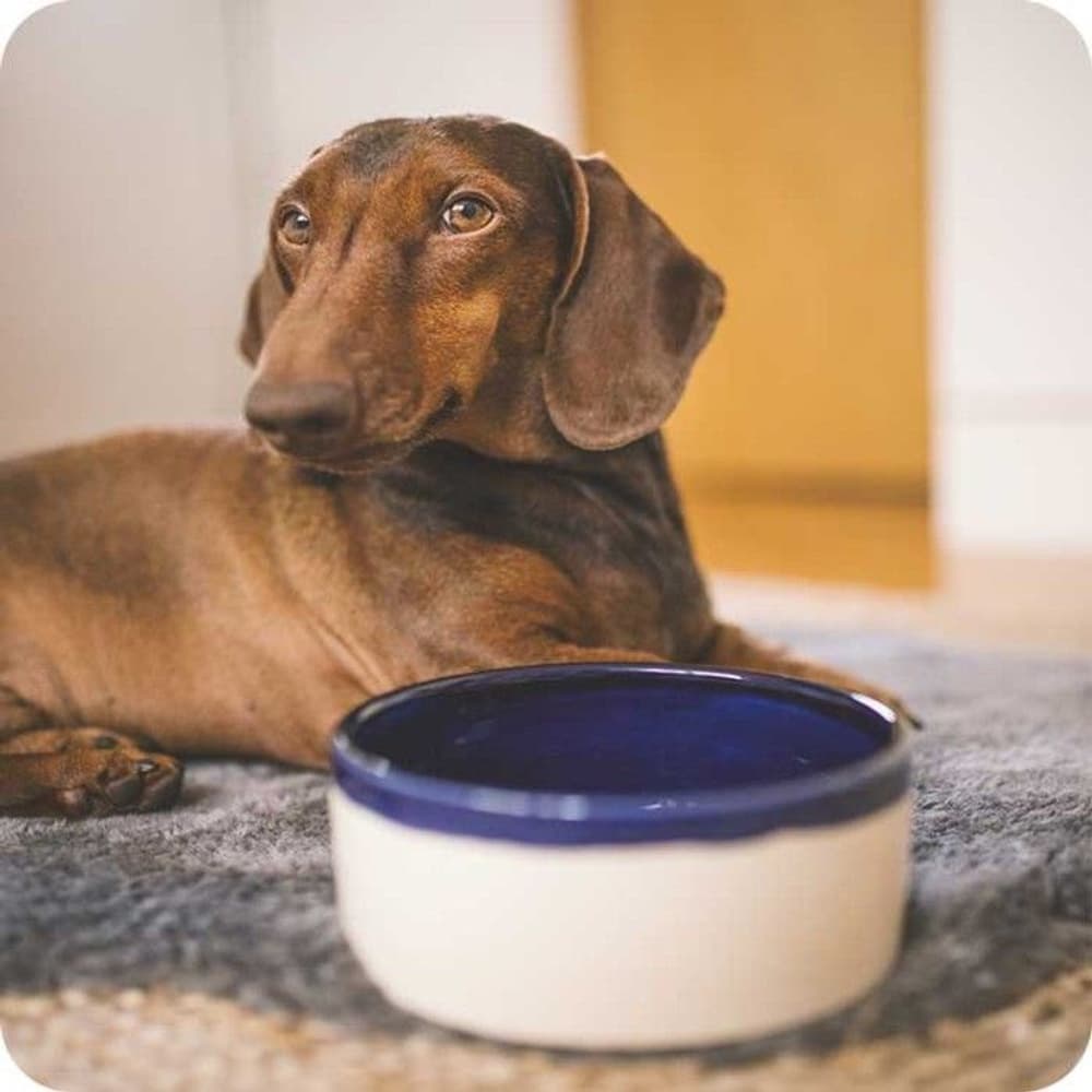 Käka Kremhvit & Kobolt Liten, view: 1