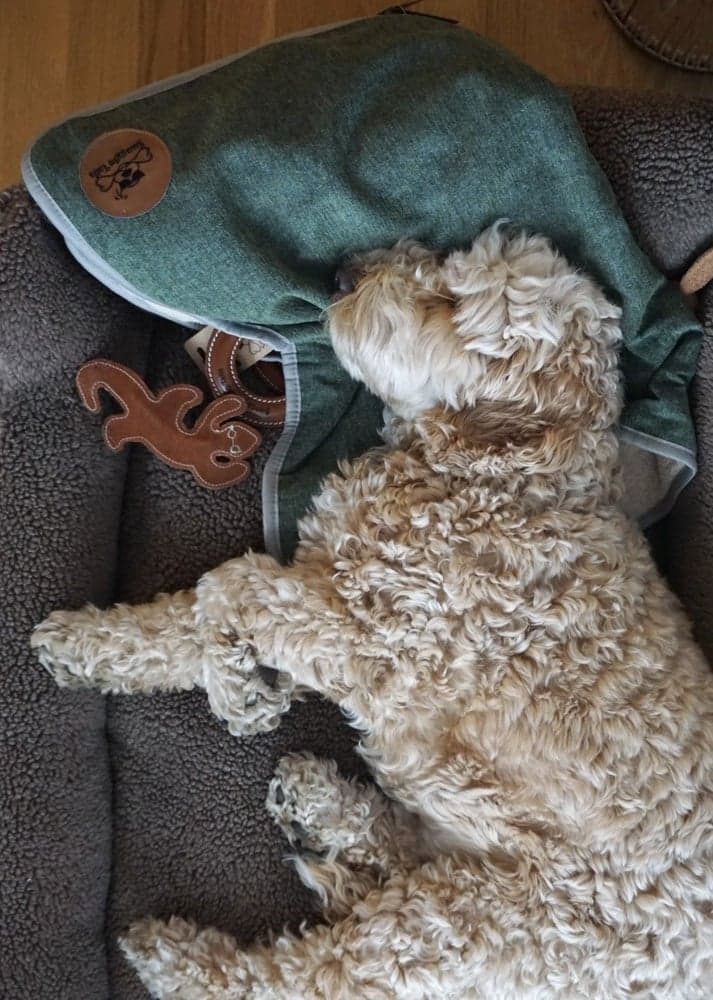 Pledd Romgrå, view: 3