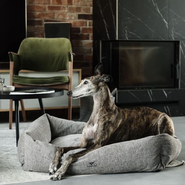 Mysig Grangrønn XL, view: 5