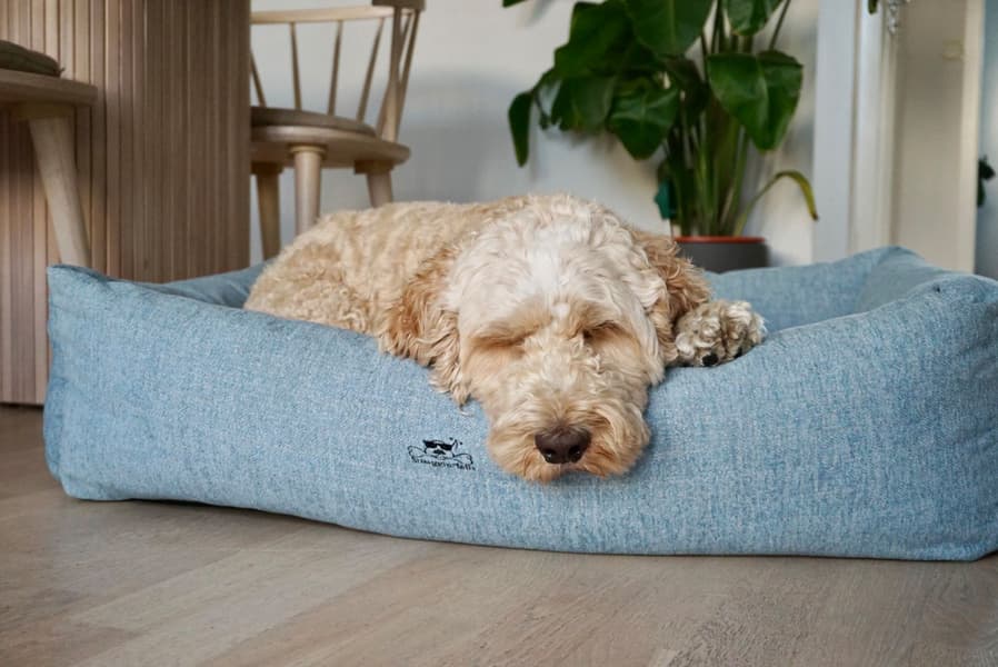 Mysig Grangrønn XL, view: 6