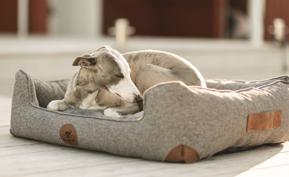 Sömnig L Skogsgrön, view: 5