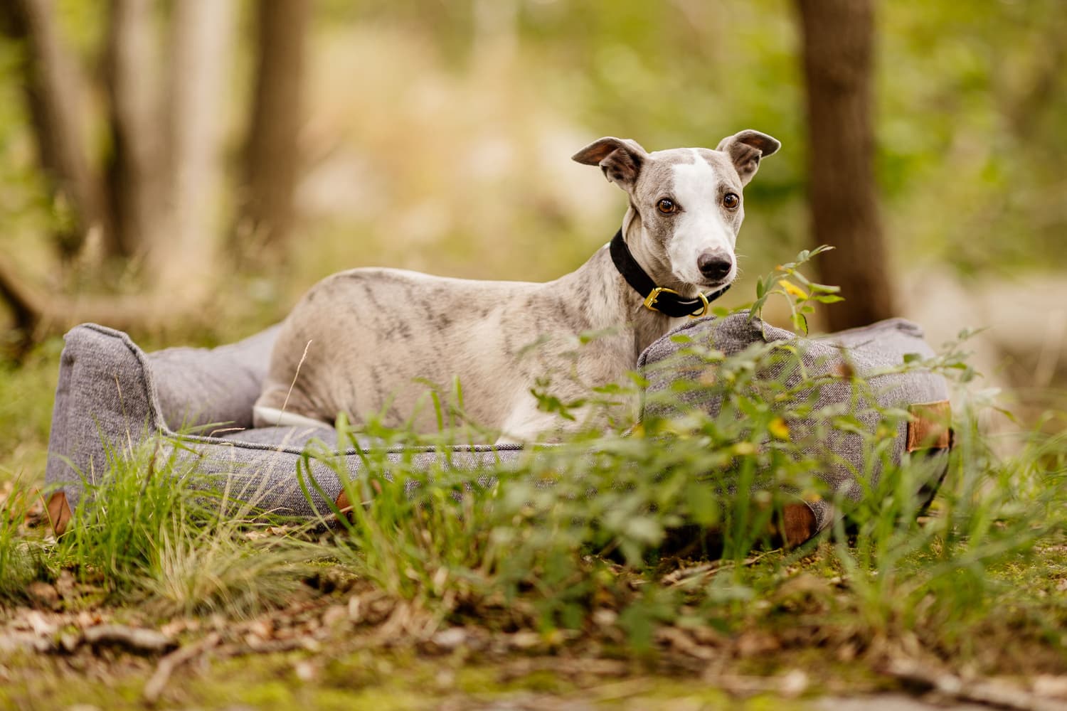 Sömnig Romgrå S, view: 4
