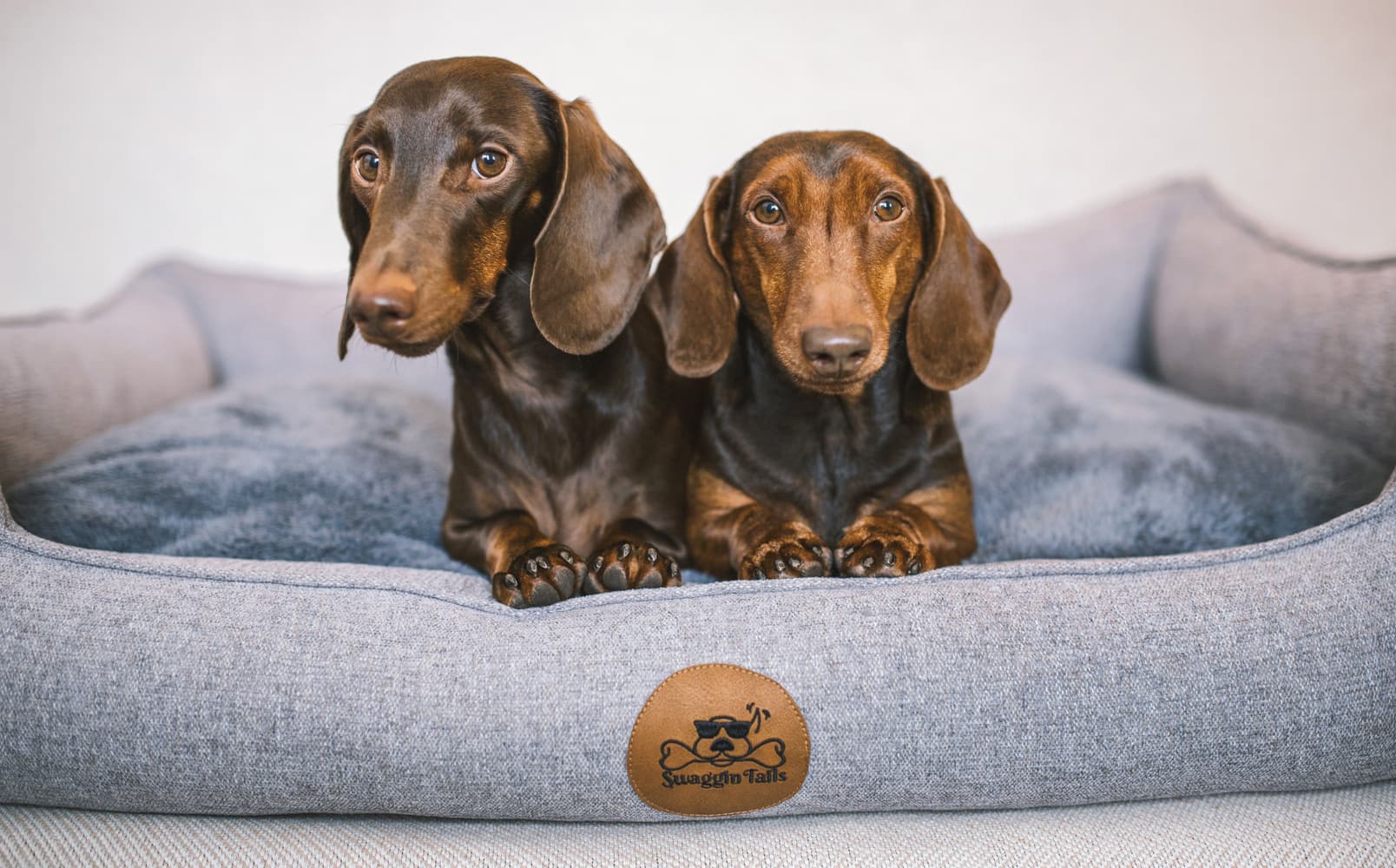 Sömnig Romgrå S, view: 2