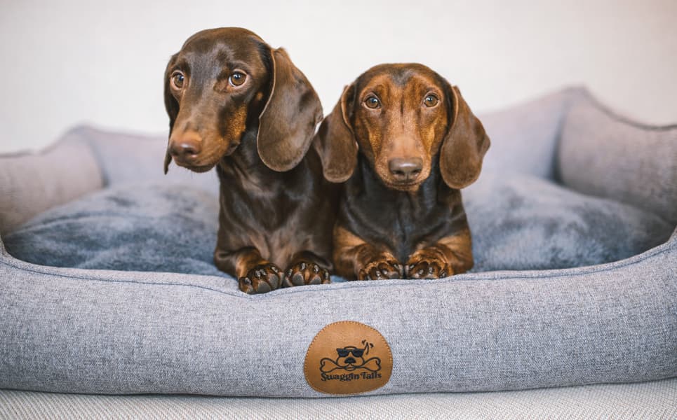 Sömnig XL Rymdgrå, view: 2