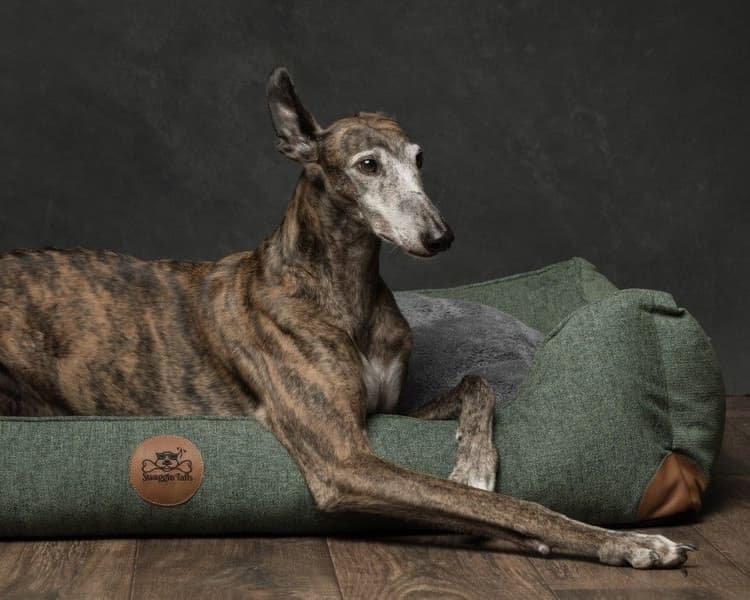 Søvnig Skogsgrønn XL, view: 2