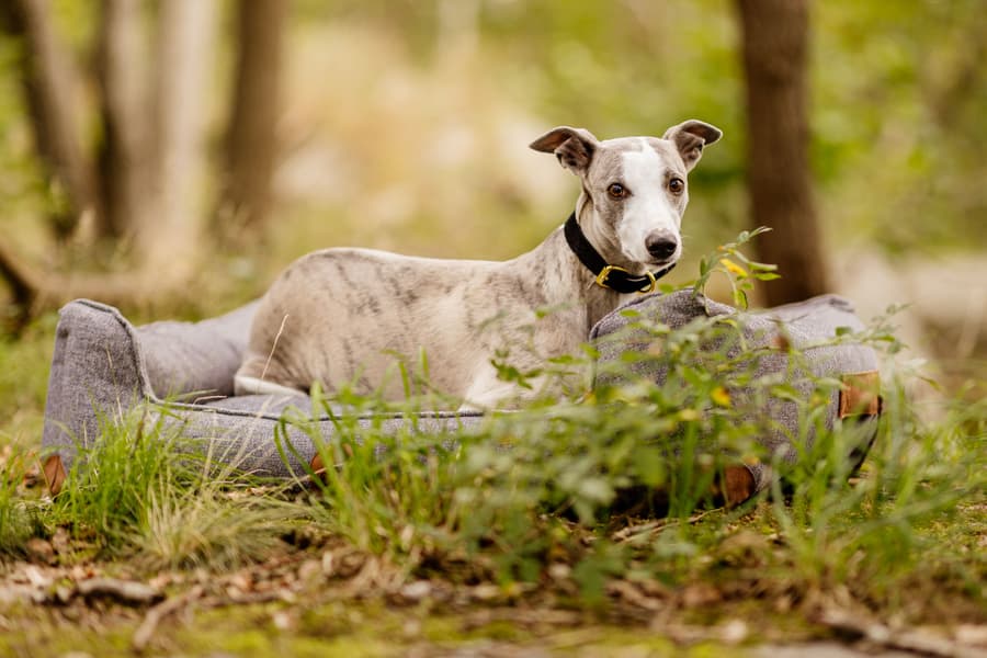 Sömnig XL Rymdgrå, view: 4