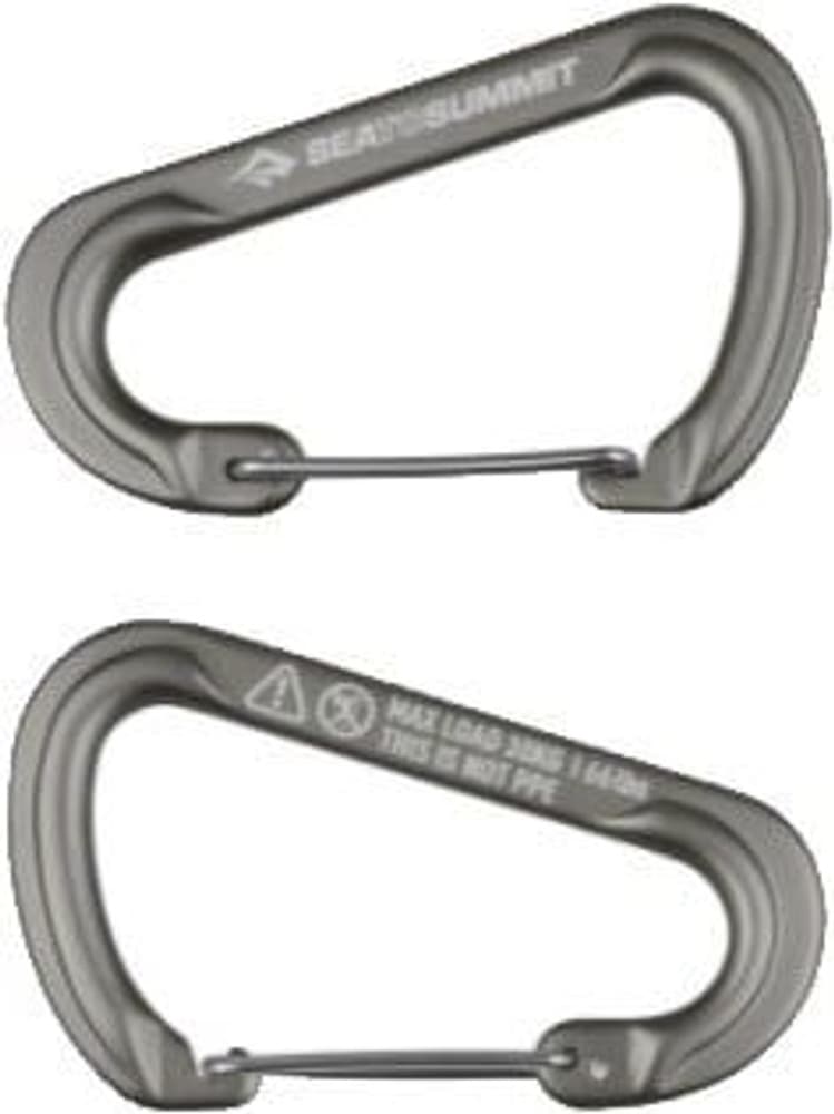 Large Carabiner 2-Pack, view: 0