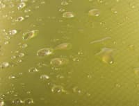 Escapist 15D Tarp Medium 2x2,6 m - view: 1