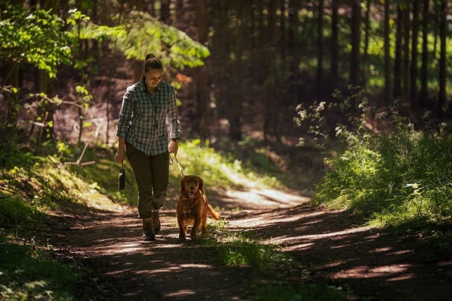 Larch Stretch Trouser Women Chocolate Torte Pine Green/, view: 7