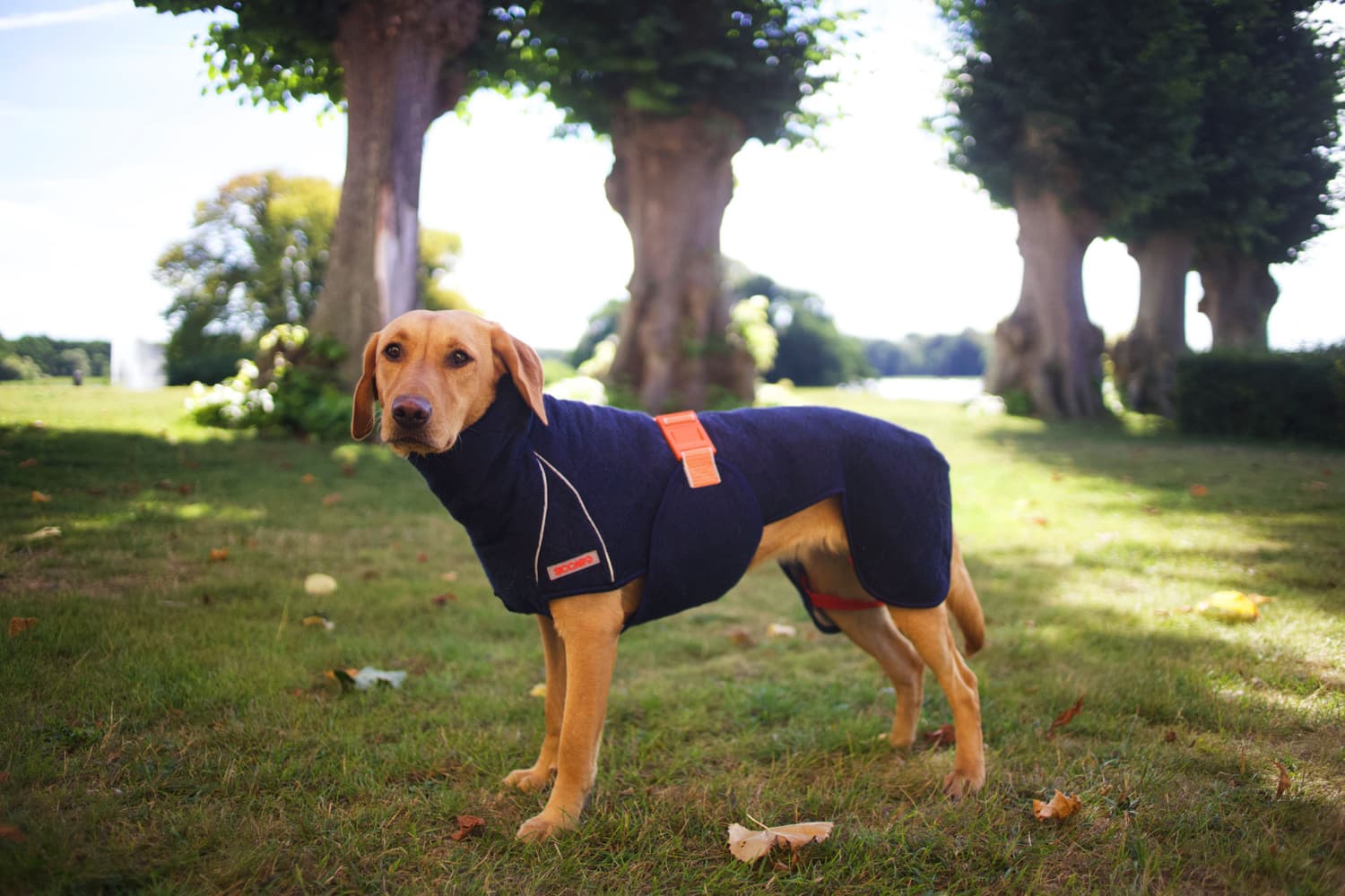 SupremePro 2.0 Granit 40 cm, view: 1