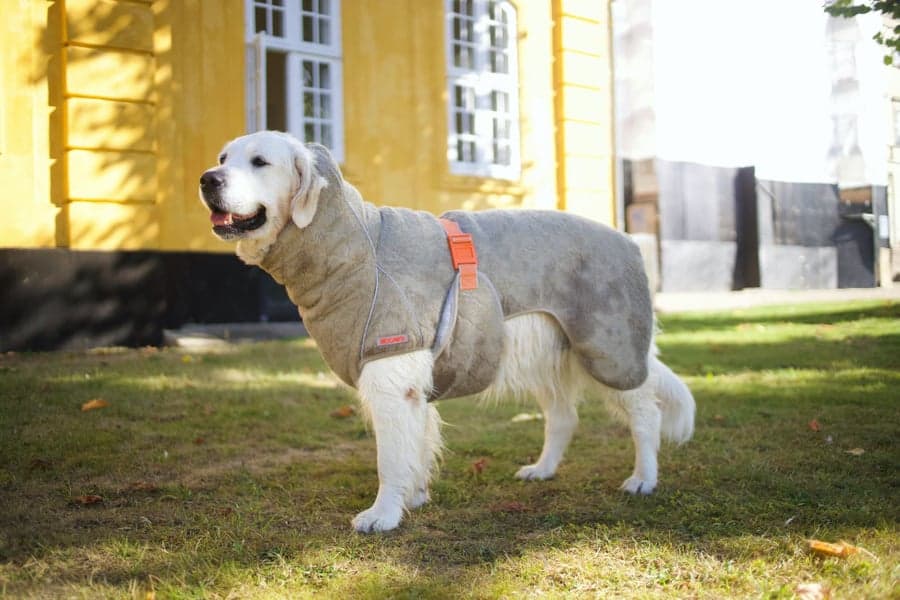 Supreme Pro 2.0 60 cm Elmwood, view: 1