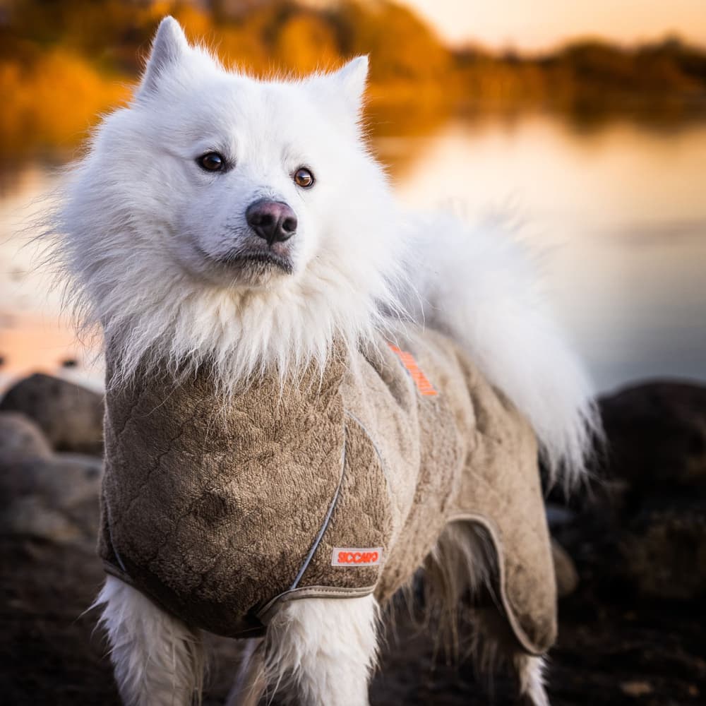 Supreme Pro 2.0 55 cm Elmwood, view: 2