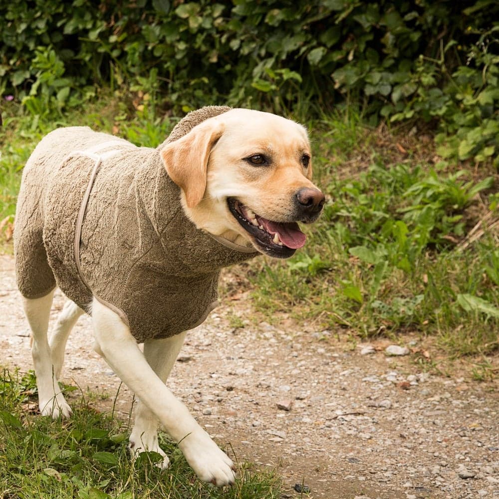 WetDog SupremePro L Elmwood, view: 4