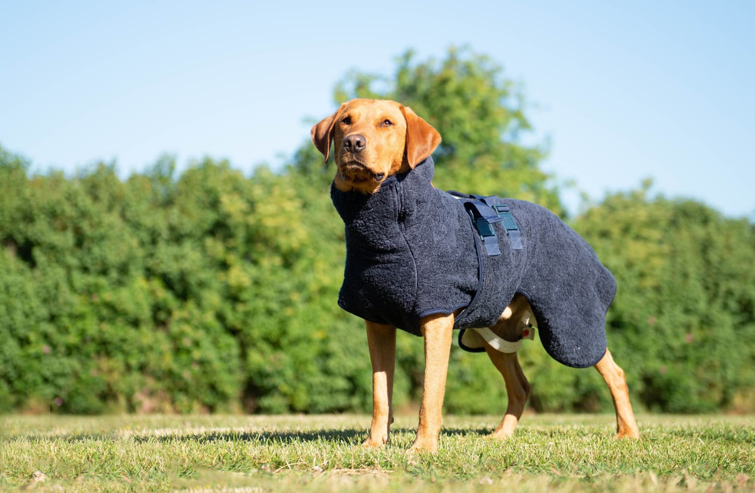 WetDog SupremePro L Granite, view: 3