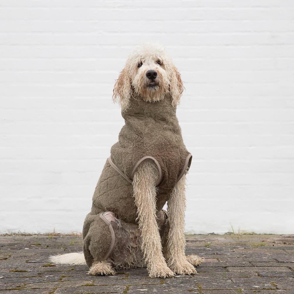 WetDog SupremePro L Elmwood, view: 3