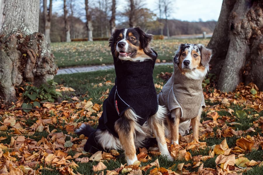 Solution Drying Robe 40 (M) Sand, view: 4