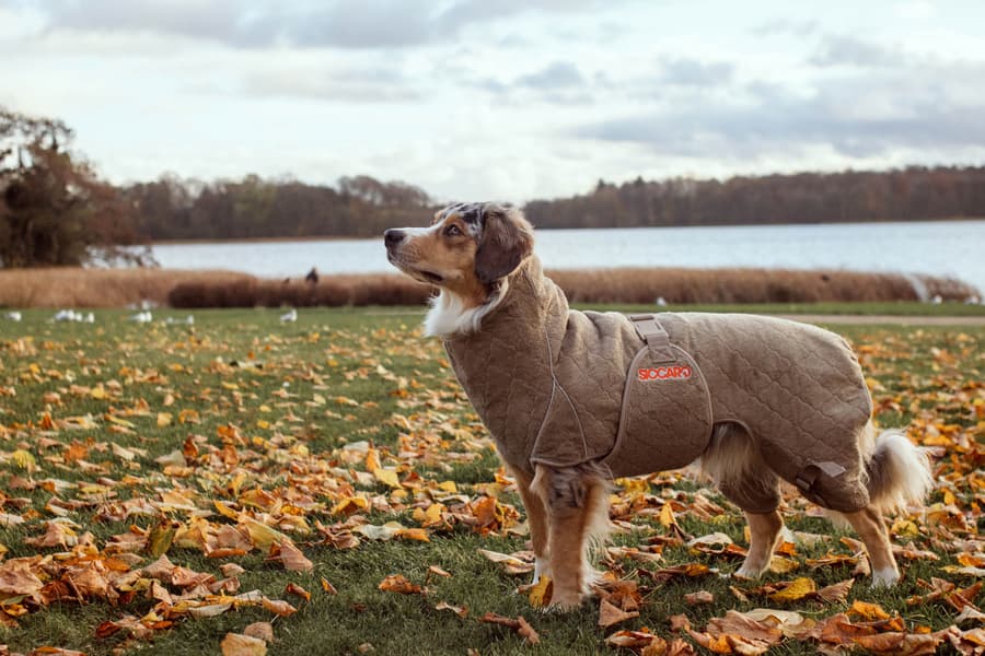 Solution Drying Robe 60 (XL) Sand, view: 4