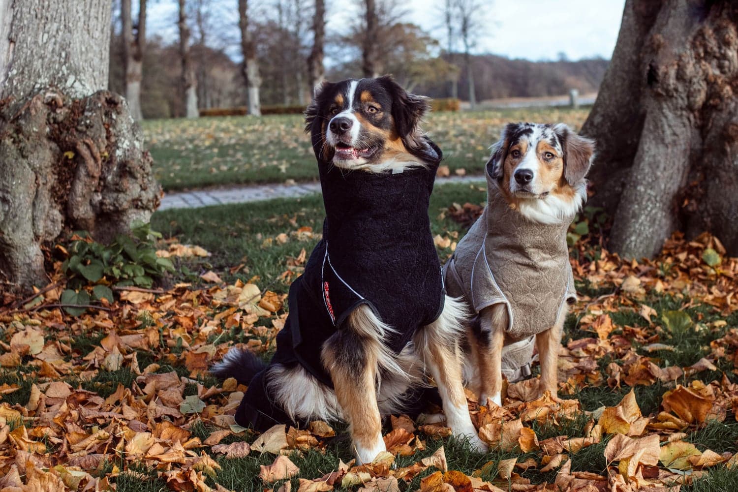 Solution Drying Robe 70 (XXL) Sand, view: 4