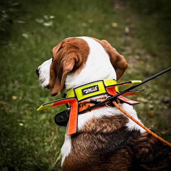 Reflexhalsband med flärp No.1 30-45cm, view: 1