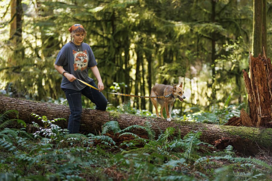 Crag Collar Rising Wave, view: 3