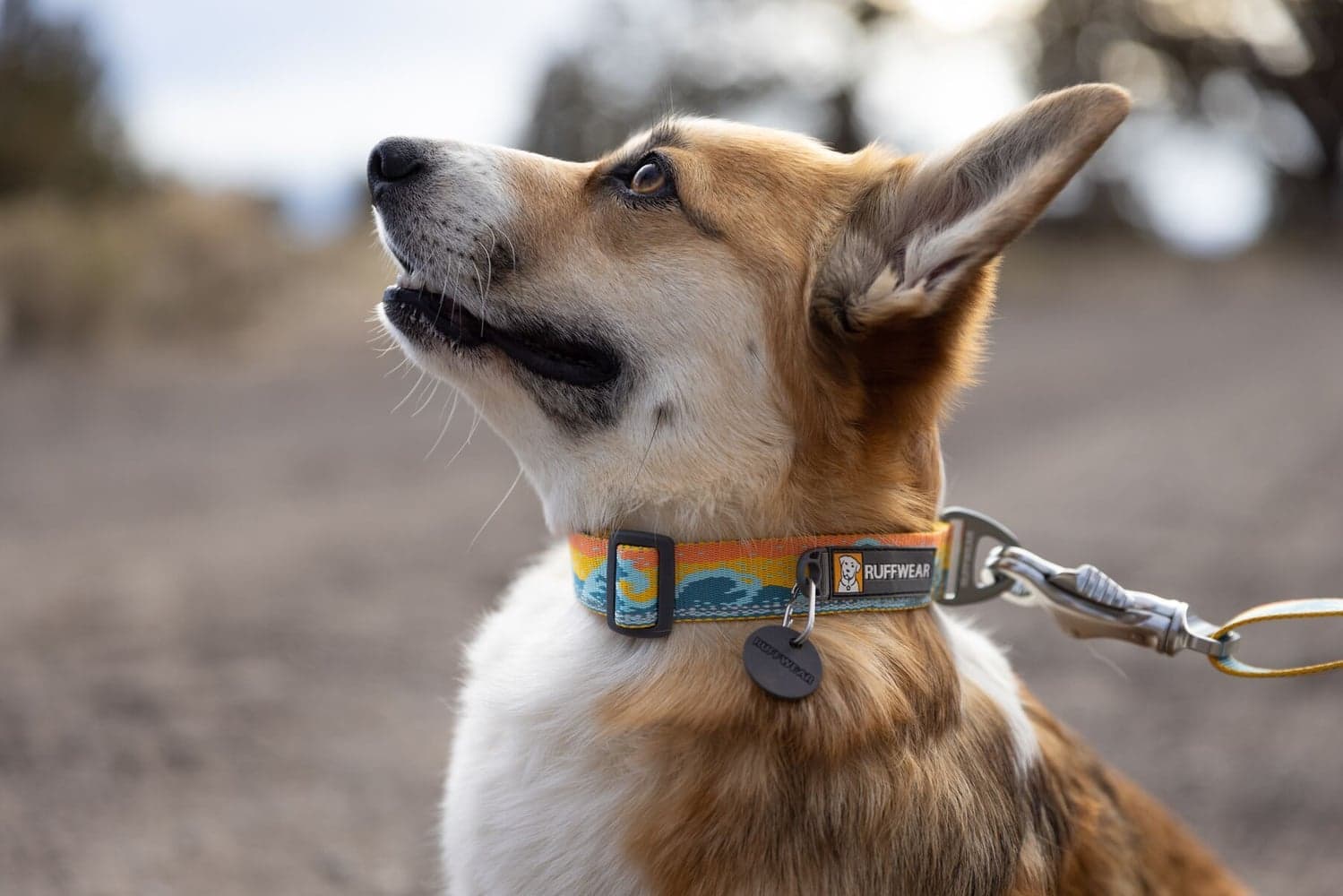 Crag Collar Rising Wave, view: 2