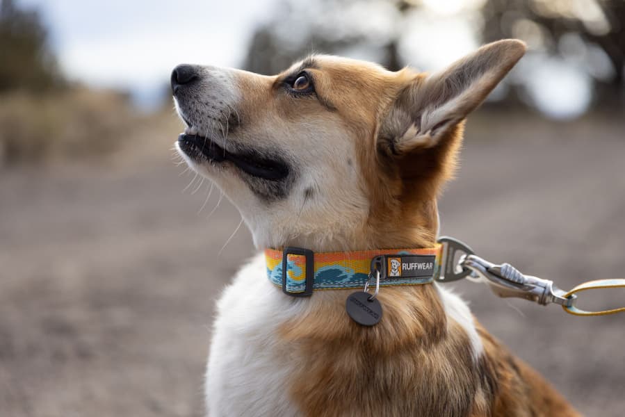 Crag Collar Rising Wave, view: 2