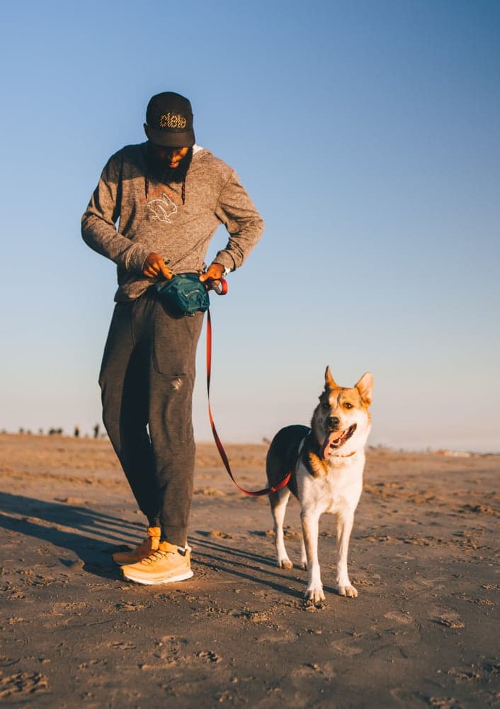 Pack Out Bag Basalt Gray, view: 5