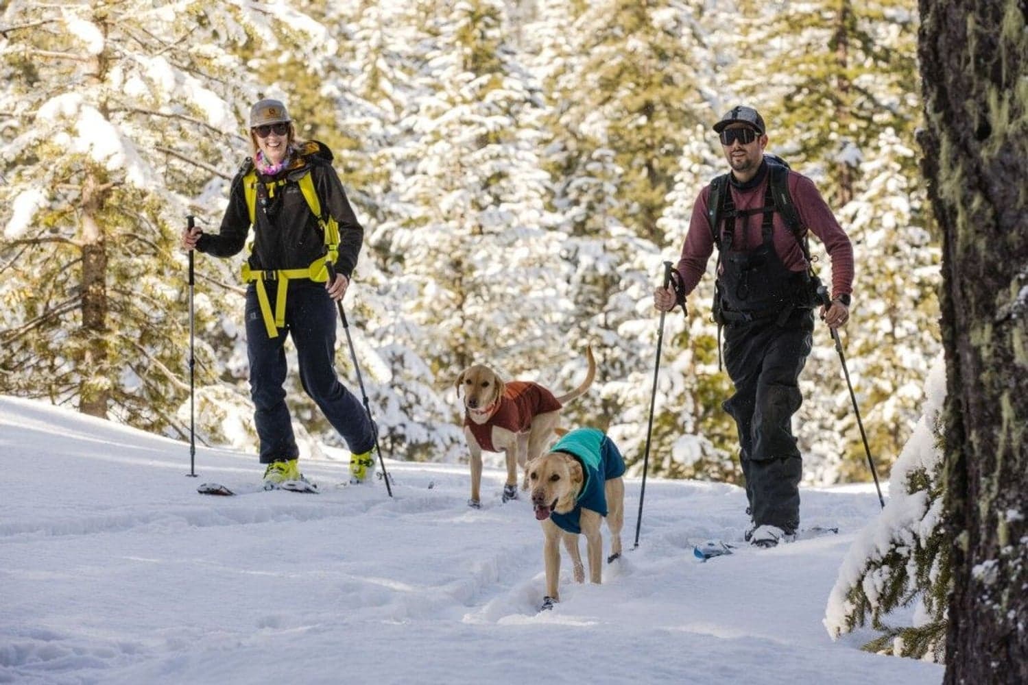 Vert Jacket Aurora Teal, view: 7