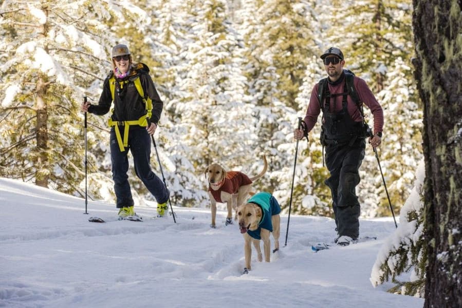 Vert Jacket Aurora Teal, view: 7