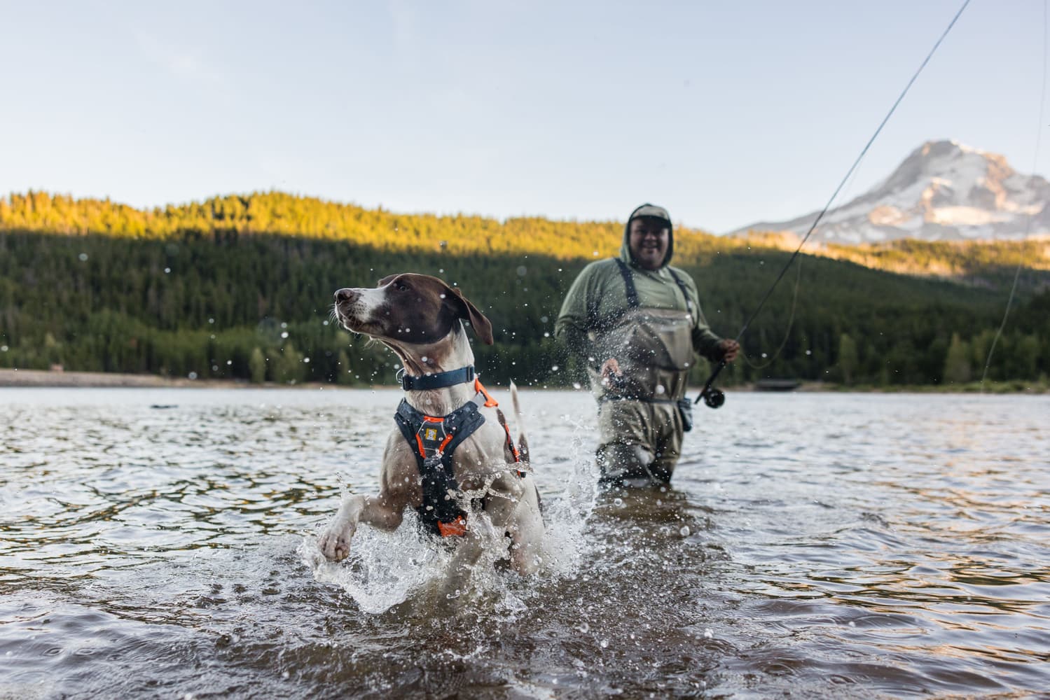 Brush Guard Basalt Gray, view: 7