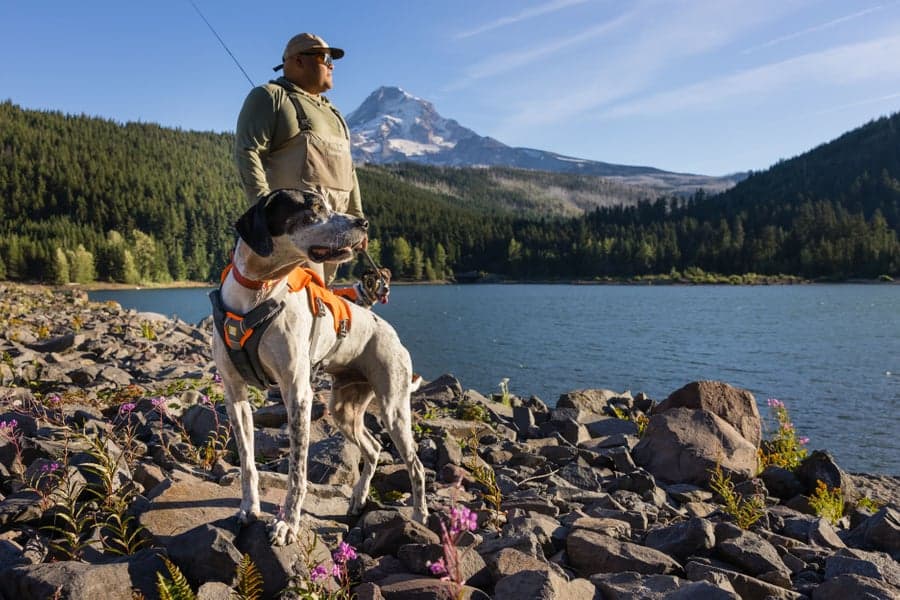 Brush Guard Basalt Gray, view: 6