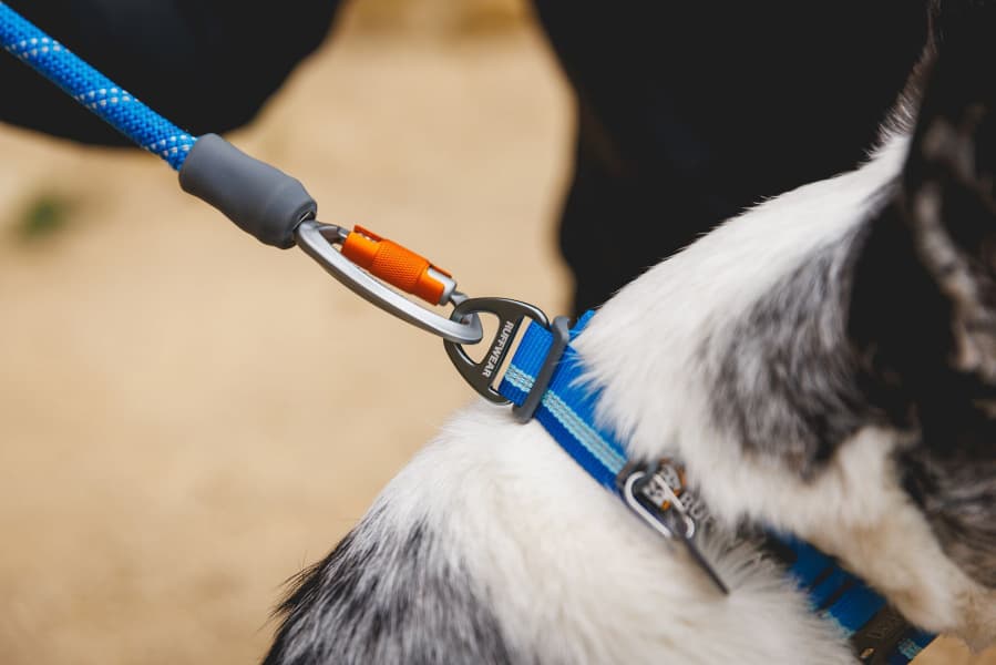 Knot-a-Leash Obsidian Black, view: 5