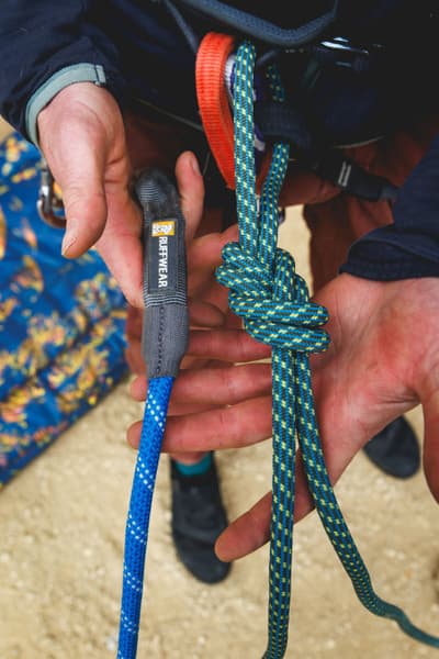 Knot-a-Leash Obsidian Black, view: 7