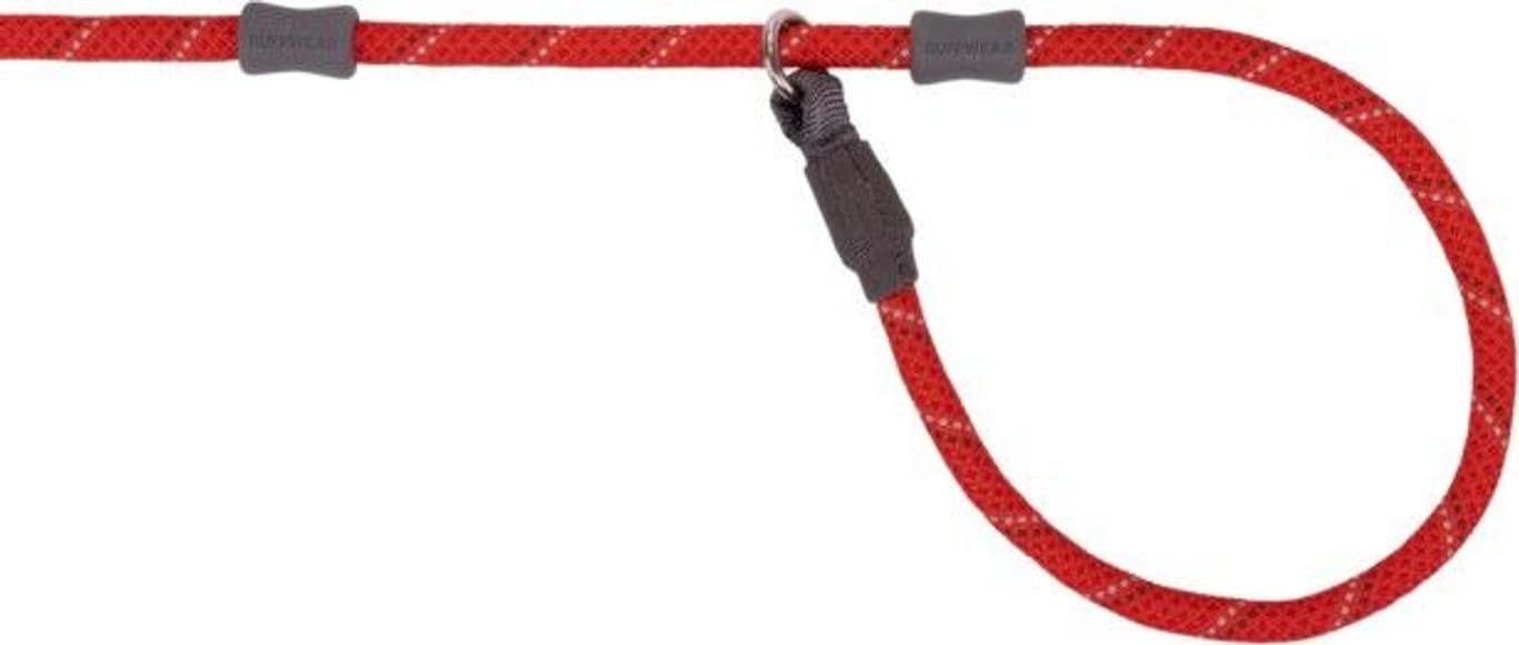 Just-a-Cinch Red Sumac, view: 1